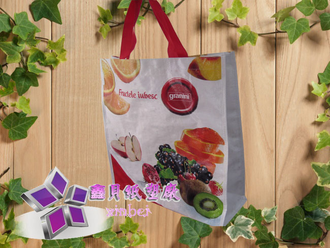 pp woven shopping bag