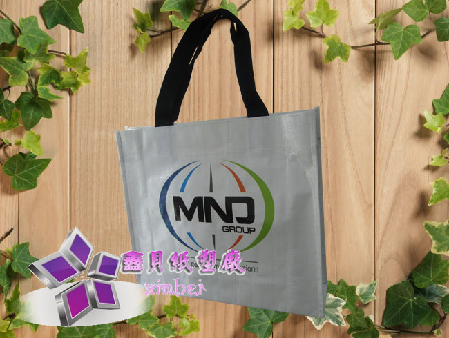 pp woven promotional bag