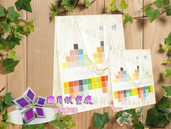 non woven lamination bag