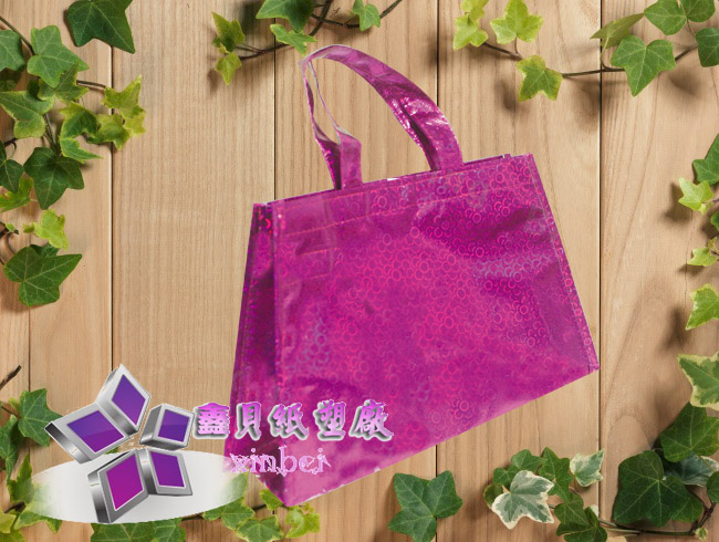 non woven lamination bag