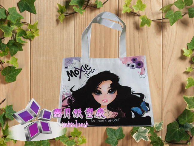 non woven lamination bag