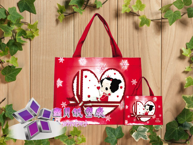 non woven lamination bag
