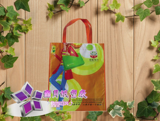 non woven lamination bag