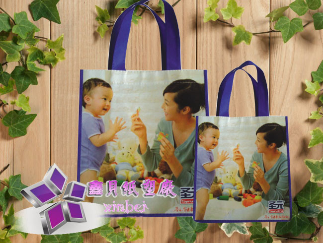 non woven lamination bag