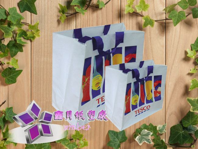 non woven lamination bag
