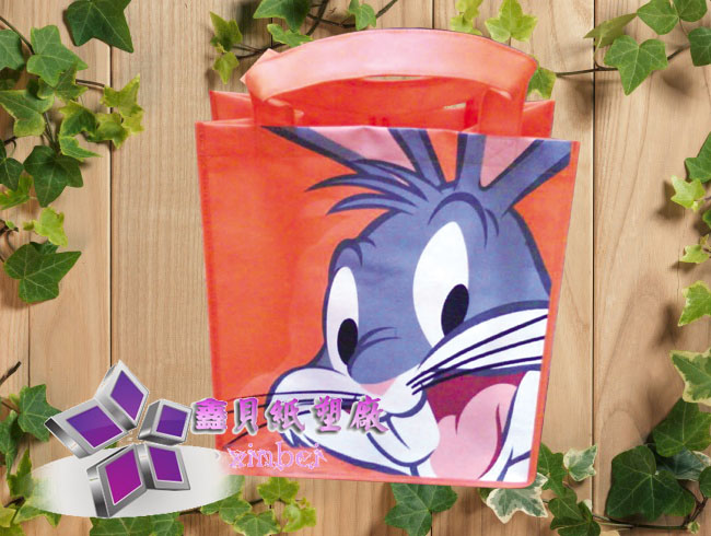 non woven lamination bag