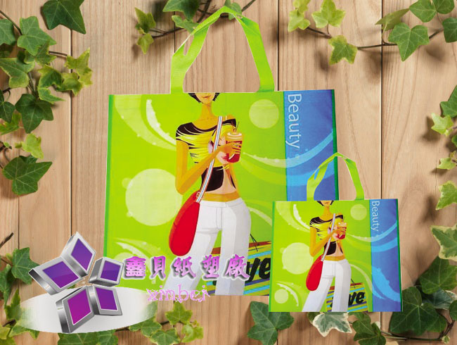 non woven lamination bag