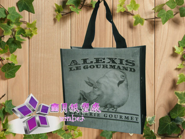 non woven lamination bag